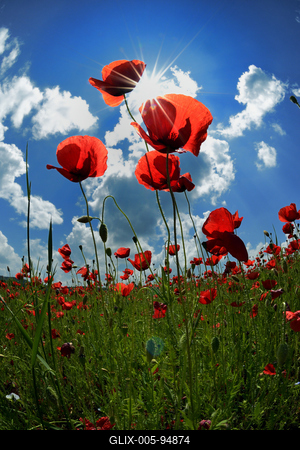 Nógrádi táj-stock-foto