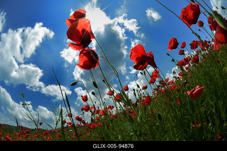 Nógrádi táj-stock-foto