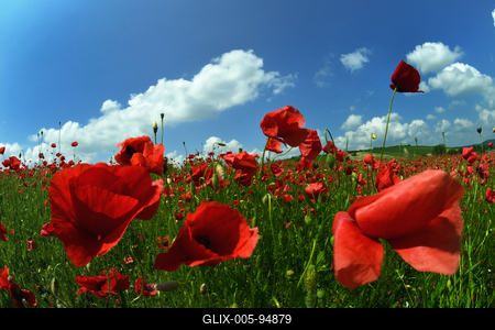 Nógrádi táj-stock-foto