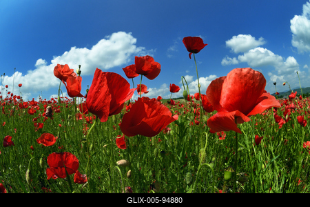 Nógrádi táj-stock-foto