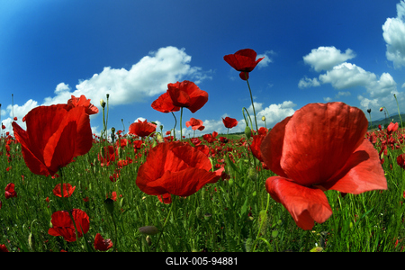 Nógrádi táj-stock-foto