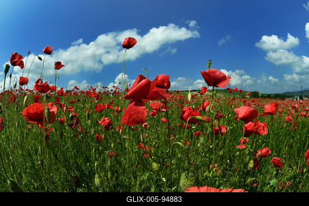 Nógrádi táj-stock-foto