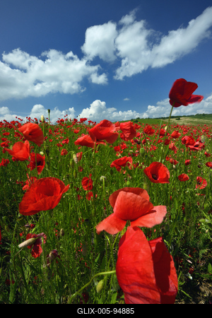 Nógrádi táj-stock-foto