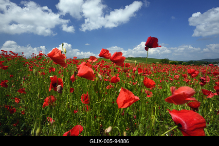 Nógrádi táj-stock-foto