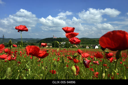 Nógrádi táj-stock-foto