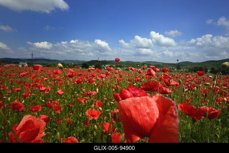 Nógrádi táj-stock-foto
