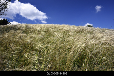 Nógrádmegyer-stock-foto