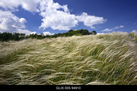 Nógrádmegyer-stock-foto