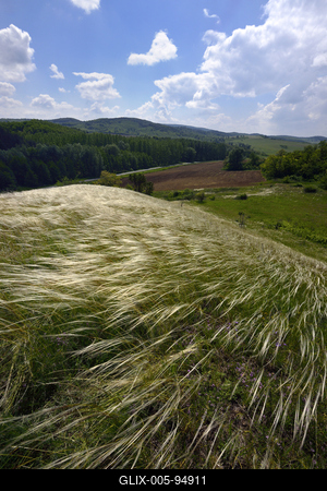 Nógrádmegyer-stock-foto