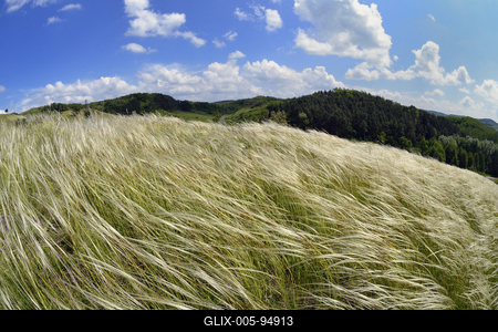 Nógrádmegyer-stock-foto
