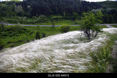 Nógrádmegyer-stock-foto