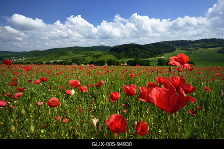 Nógrádi táj-stock-foto