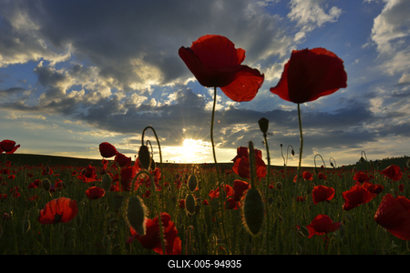 Nógrádi táj-stock-foto