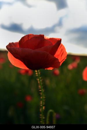 Nógrádi táj-stock-foto