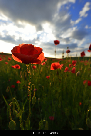 Nógrádi táj-stock-foto
