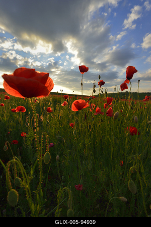 Nógrádi táj-stock-foto