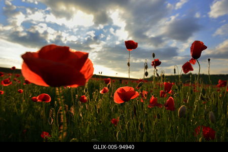 Nógrádi táj-stock-foto