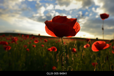 Nógrádi táj-stock-foto