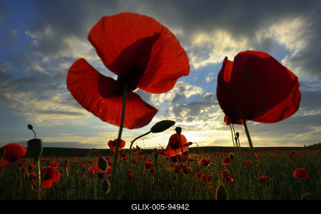 Nógrádi táj-stock-foto