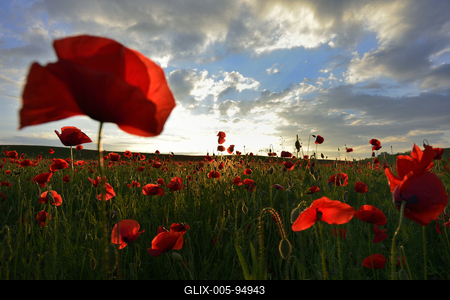 Nógrádi táj-stock-foto