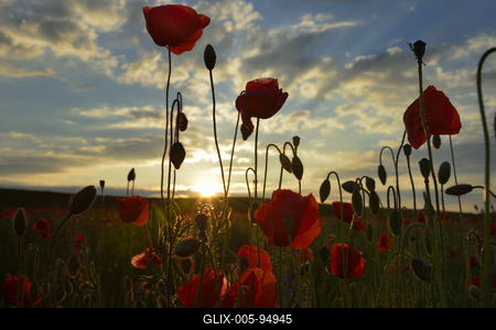 Nógrádi táj-stock-foto