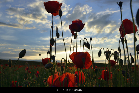 Nógrádi táj-stock-foto