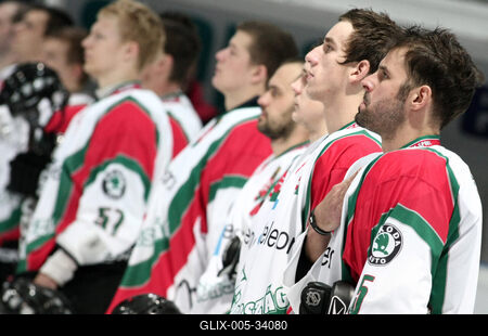 Magyarország - Ausztria 3:1-stock-foto