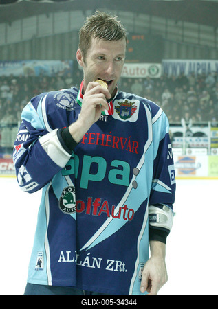 UTE-Alba Volán jégkorong mérkőzés-stock-foto