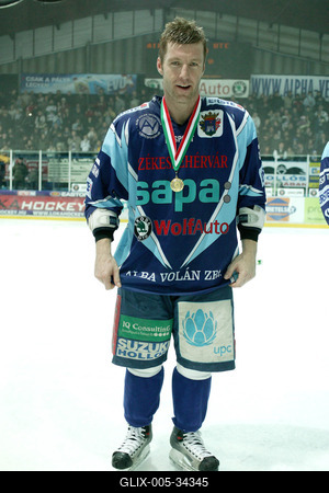 UTE-Alba Volán jégkorong mérkőzés-stock-foto