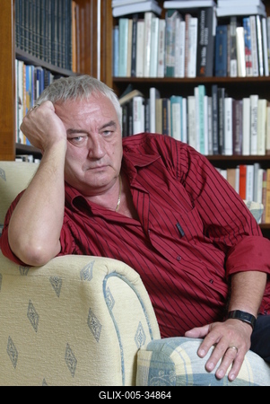 Havas Henrik-stock-foto