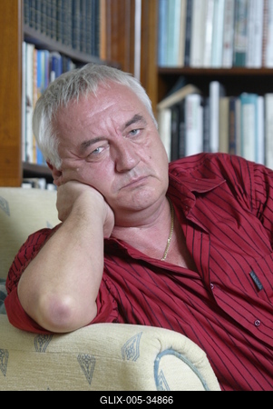 Havas Henrik-stock-foto