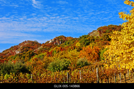 Ősz a Móri borvidéken-stock-foto