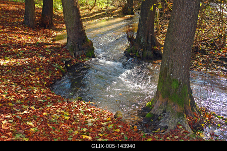 Szalajka-patak, Bükk-stock-foto