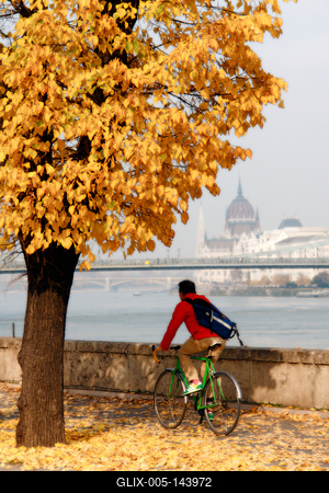Kerékpáros az őszi Dunaparton-stock-foto