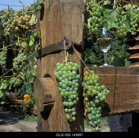 Szüreti csendélet-stock-foto