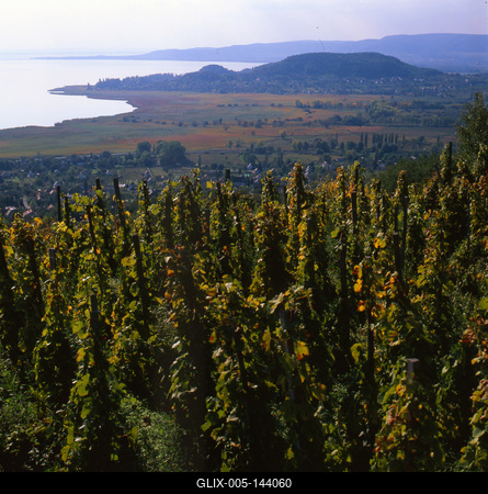 Badacsony-stock-foto