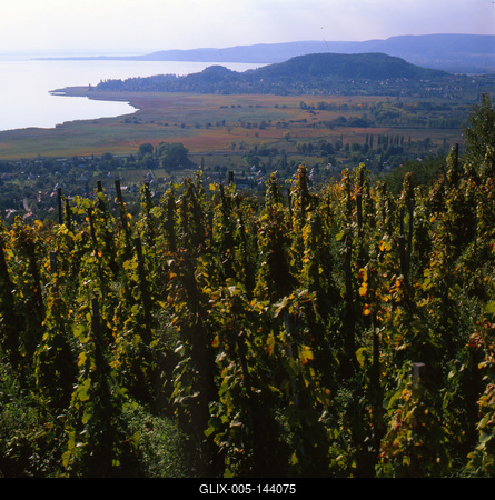 Badacsony-stock-foto