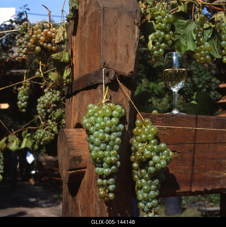 Badacsony-stock-foto