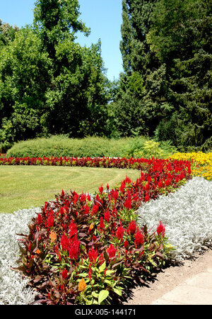Budapest, Margitsziget-stock-foto