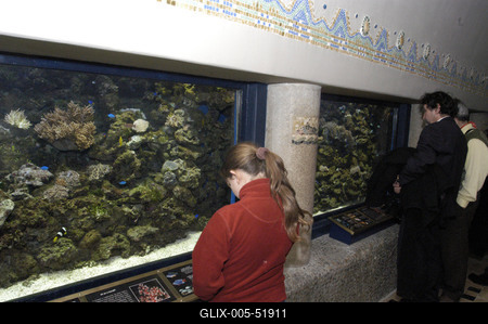 Akvárium a budapesti állatkertben-stock-foto