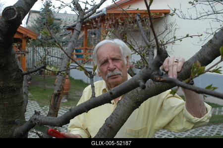 Bálint gazda-stock-foto