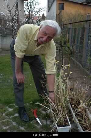 Bálint gazda-stock-foto