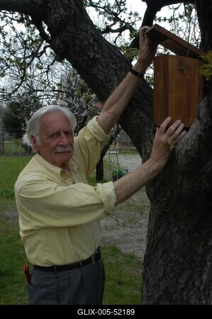 Bálint gazda-stock-foto