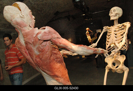 Bodies kiállítás-stock-foto