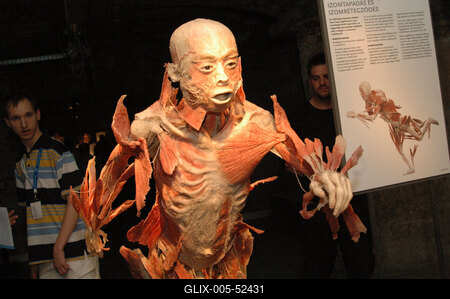 Bodies kiállítás-stock-foto