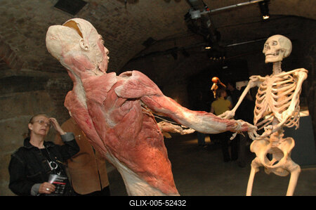 Bodies kiállítás-stock-foto