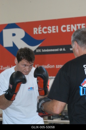 Erdei Zsolt ökölvívó-stock-foto