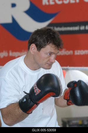 Erdei Zsolt ökölvívó-stock-foto