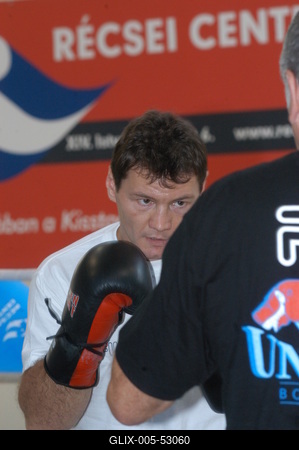 Erdei Zsolt ökölvívó-stock-foto