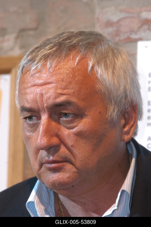 Havas Henrik-stock-foto